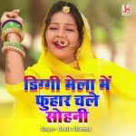 Diggi Mela Me Fuhaar Chale Sohni