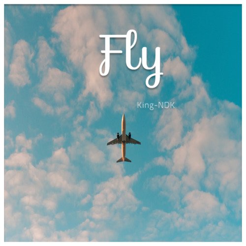 Fly