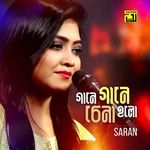 Gaane Gaane Chena Holo (Original Motion Picture Soundtrack)