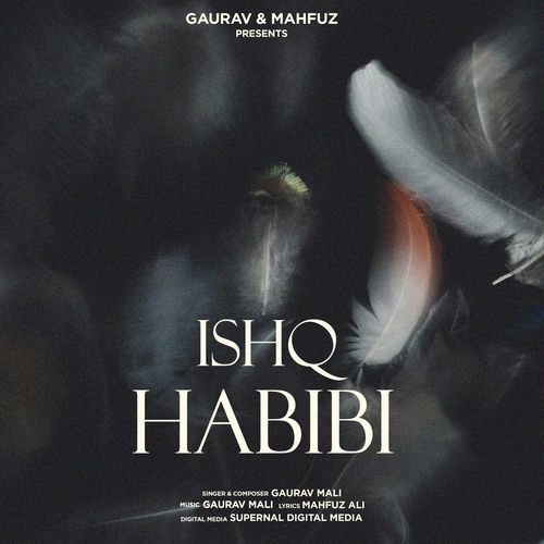 Ishq Habibi