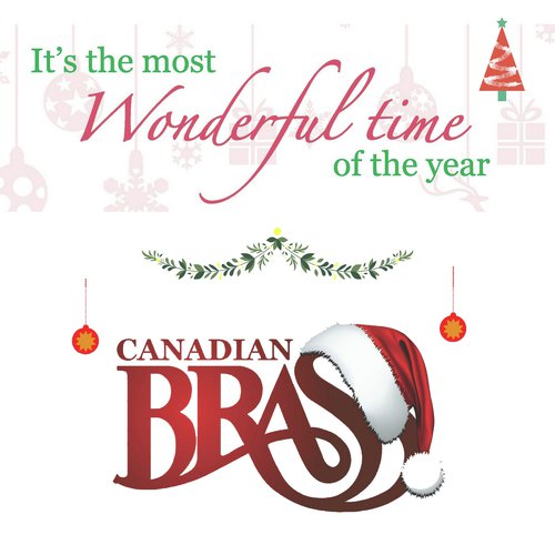 It’s the Most Wonderful Time of the Year_poster_image