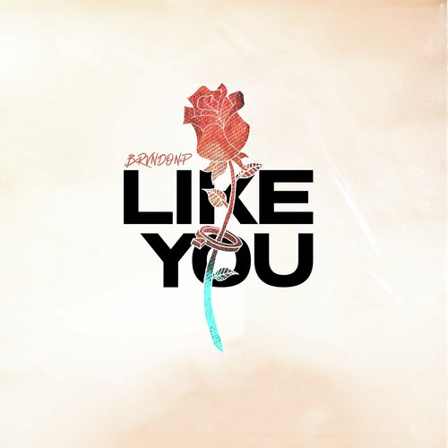 Like You_poster_image