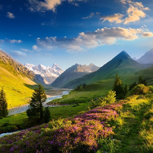 Lofi Beats For Zen And Balance