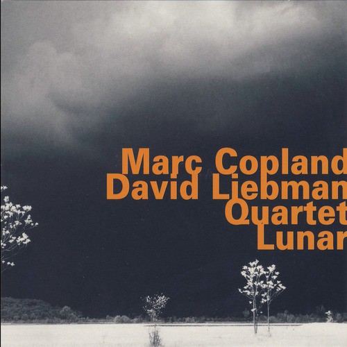 Marc Coplan - David Liebman Quartet: Lunar_poster_image