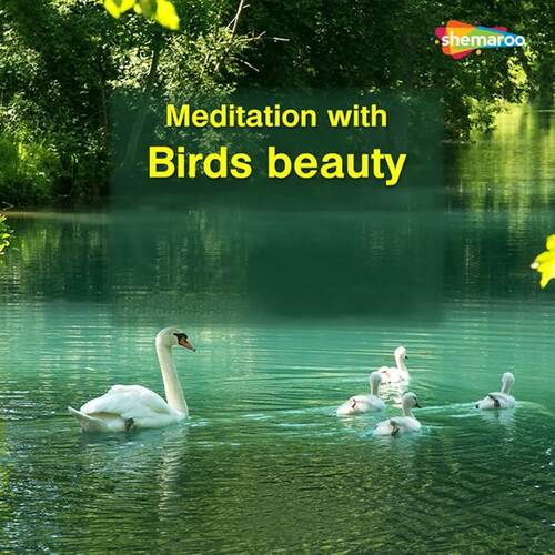 Meditation With Birds Beauty