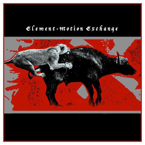 Motion Exchange