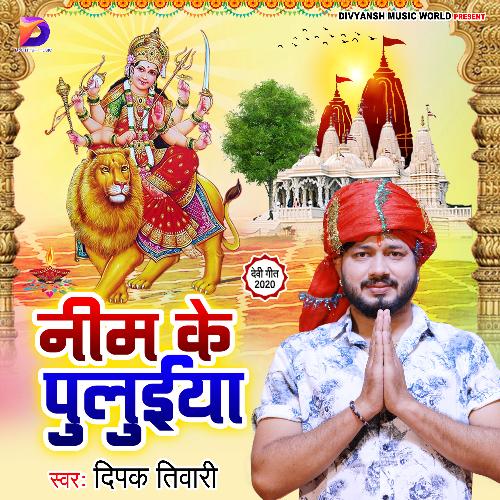Neem Ke Puluiya