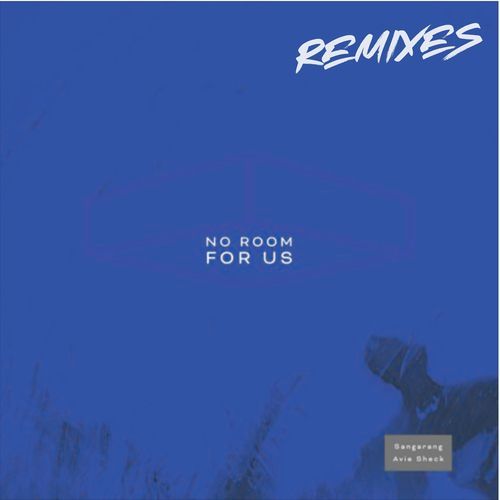 No Room For Us (Mr. Terrible Remix) cover art