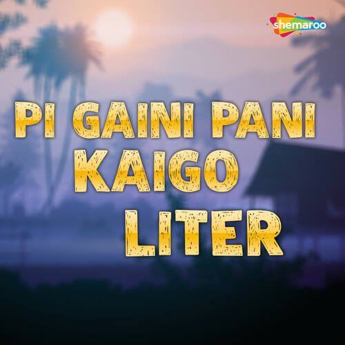 Pi Gaini Pani Kaigo Liter