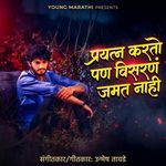 Prayatn Karato Pan Visaran Jamat Nahi
