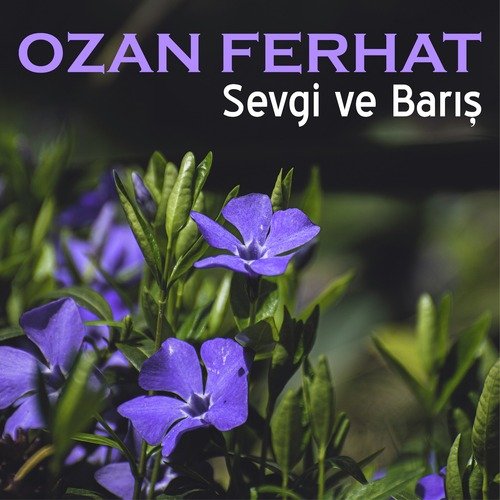 Sivas cover art