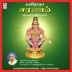 Ayyappa Sharanam Ayyappa