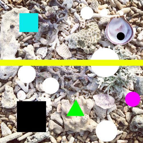 Shell cover art