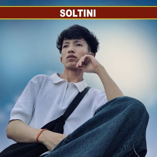 Soltini_poster_image