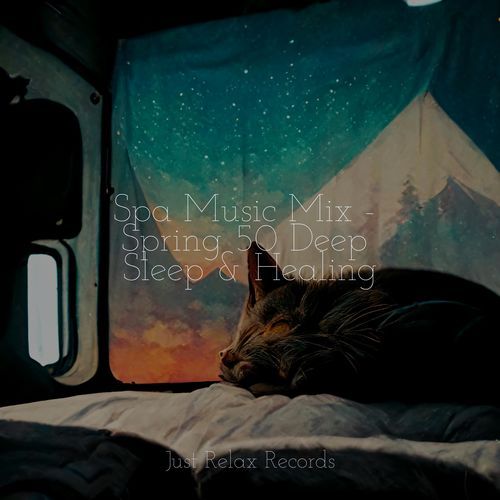 Spa Music Mix - Spring 50 Deep Sleep & Healing_poster_image