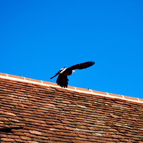 Start To Fly