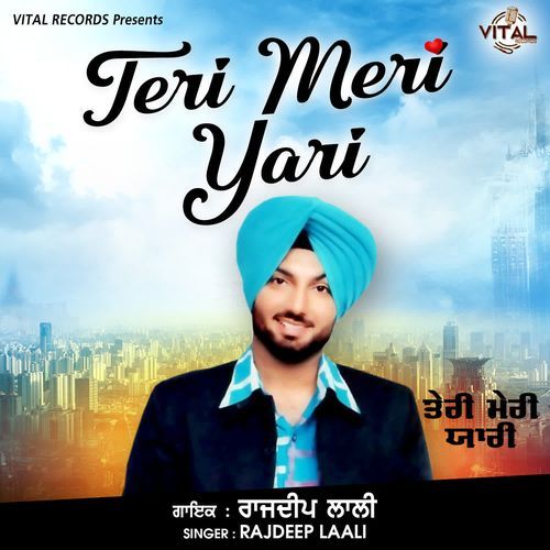 Teri Meri Yari