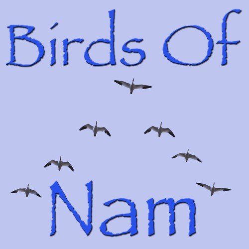 The Birds Of Nam