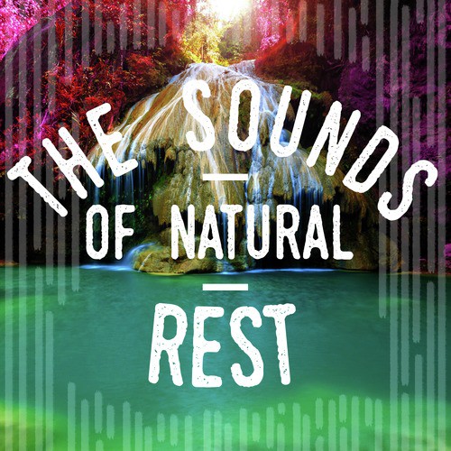 The Sounds of Natural Rest