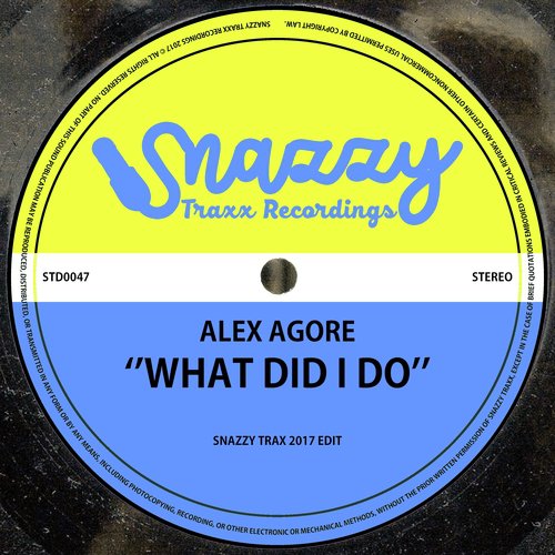 What Did I Do (Snazzy Trax 2017 Edit)