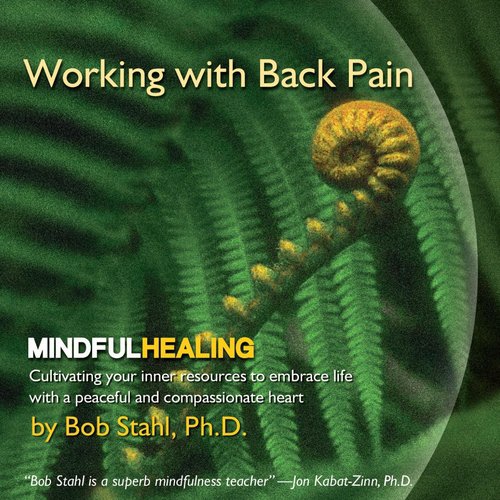 Working With Back Pain