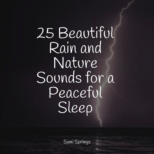 Rain, Storm and Thunder cover art
