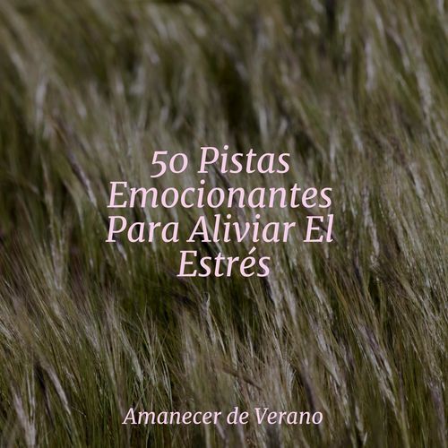 50 Pistas Emocionantes Para Aliviar El Estrés