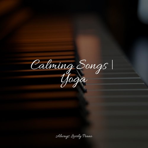 Relaxation Zone cover art