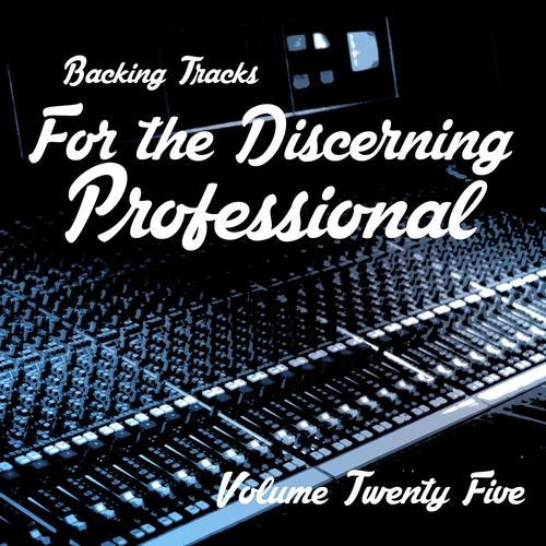 Parlamento Comparable Deflector I Love You More Than You'll Ever Know (Originally Performed By Blood Sweat  And Tears) [Instrumental] - Song Download from Backing Tracks for the  Discerning Professional, Vol. 25 @ JioSaavn