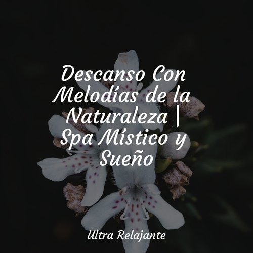 Sueños de Relajación cover art