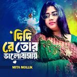 Didi re tor valobasai