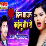 Dil Ghayal Kailu Tir Se