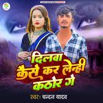 Dilwa Kaise Kar Leni Kathor Ge