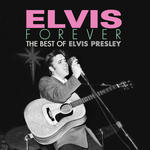 Heartbreak Hotel (Live In Las Vegas) Lyrics - Elvis Presley - Only on  JioSaavn