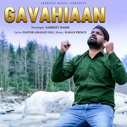 Gavahiaan-AFg,QC1hQwc