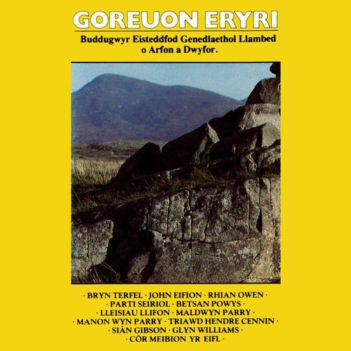 Arafa Don cover art