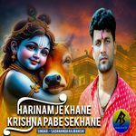 Hari Naam Je Khane Krishna Pabe Sekhane