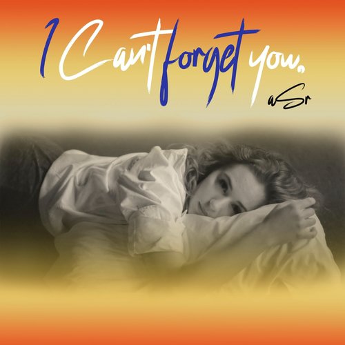 I Can't Forget You