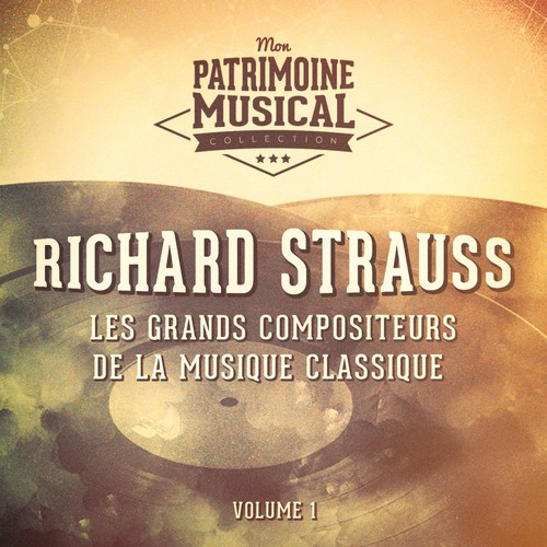 Les grands compositeurs de la musique classique : Richard Strauss, Vol. 1