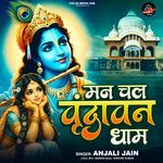 Man Chal Vrandavan Dham