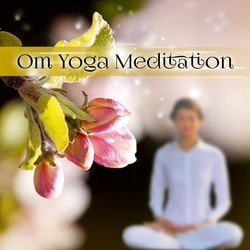 Namaste Yoga Collection