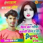 दिल का सोदा करतीं डोल र सोदागर है रांड