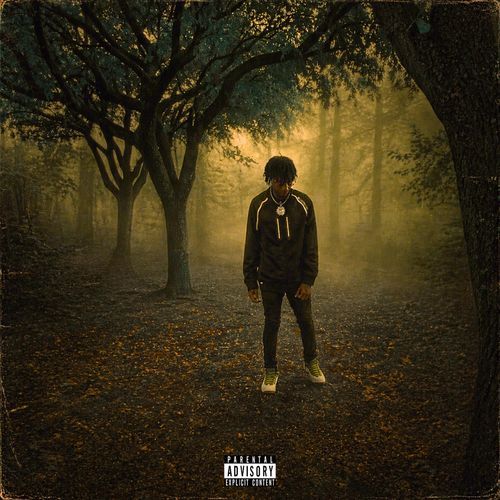 Vybe cover art