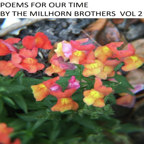 The Millhorn Boys cover art