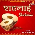 Shehnai Pt. 1
