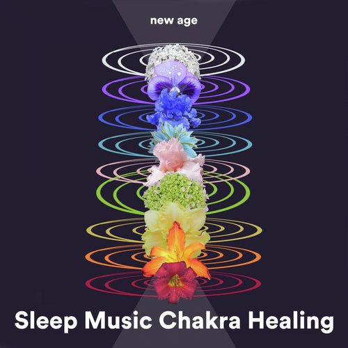 Sleep Music Chakra Healing