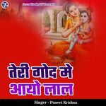 Teri Godh Me Aayo Laal