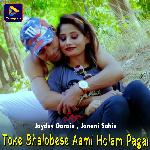Toke Bhalobese Aami Holam Pagal