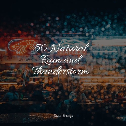 Rain, Storm and Thunder cover art