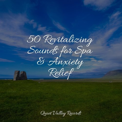 50 Revitalizing Sounds for Spa & Anxiety Relief_poster_image